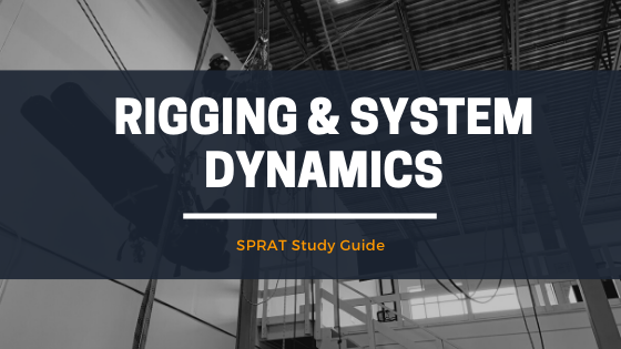 Rigging and System Dyani